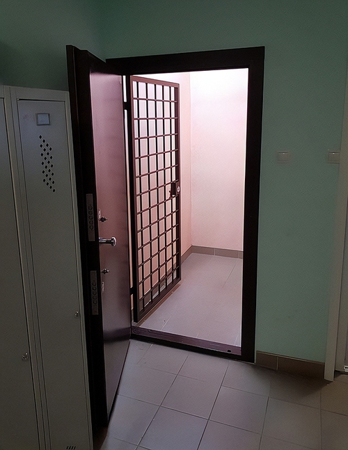 Коричневая бронедверь