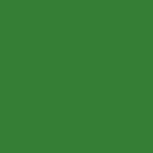 ral_6017