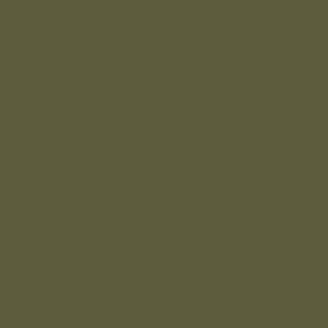 ral_7009